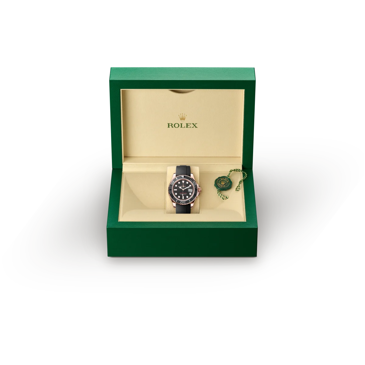 M126655-0002 Rolex v7