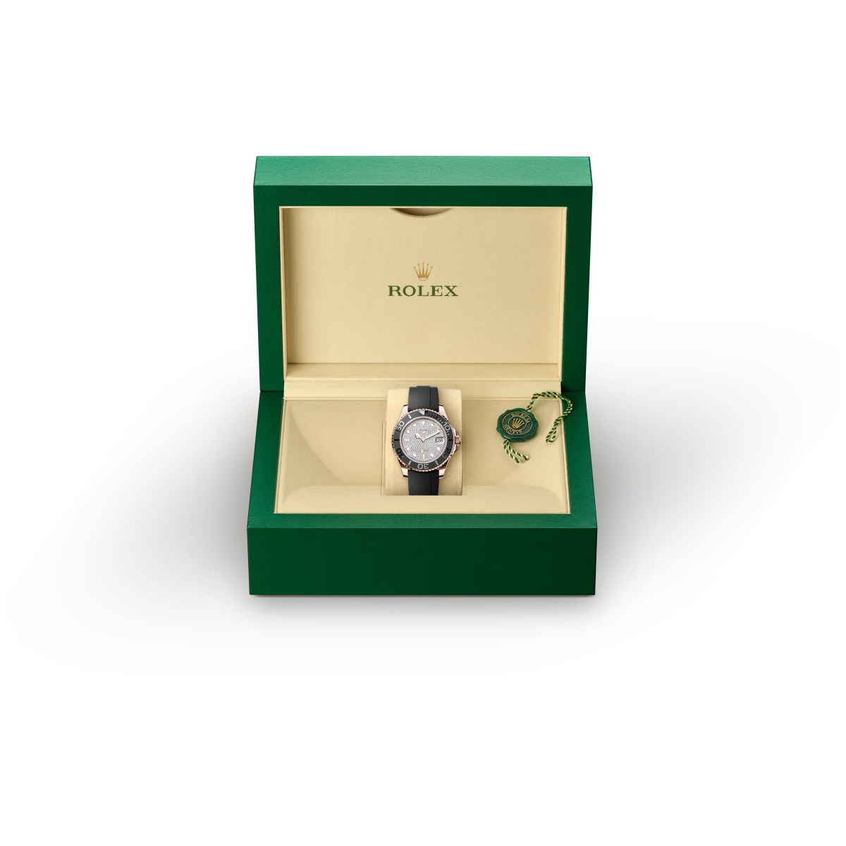 M268655-0019 Rolex v7